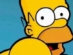 user picture1