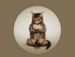 user picture2