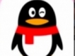 user picture1
